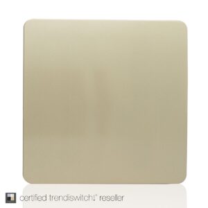 Trendi 1 Gang Screwless Blanking Plate in Gold