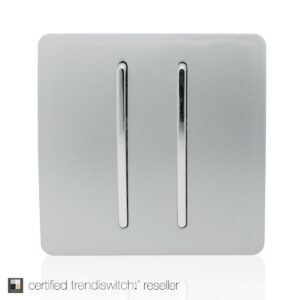 Trendi 2 Gang Rocker Home Auto Switch in Silver